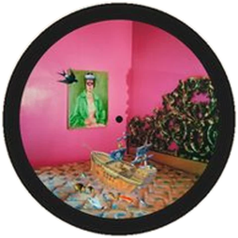 Javiera Estrada vinyl artwork 5 of 8