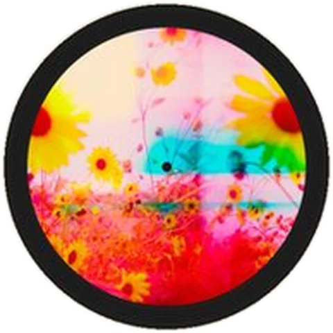 Javiera Estrada vinyl artwork 6 of 8
